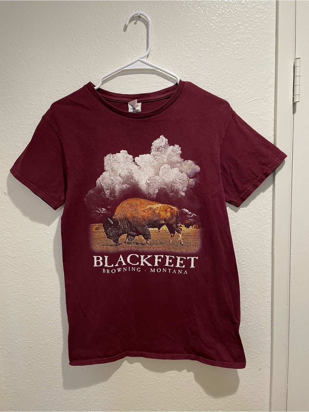 Vintage 90s Delta Pro Weight Blackfeet Montana Bison Streetwear Tee Small